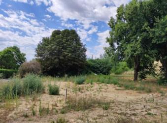 Lamothe-Capdeville (82130) TERRAIN surface totale 4304 m2 - DONT 780 m2 constructible