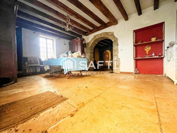 IDEAL COMMERCE ; MAISON ANCIENNE A RENOVER + DEPENDANCES + STUDIO + JARDINS