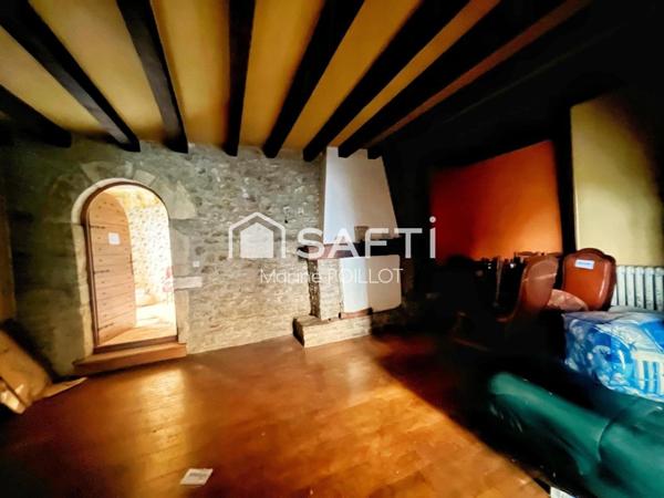 IDEAL COMMERCE ; MAISON ANCIENNE A RENOVER + DEPENDANCES + STUDIO + JARDINS