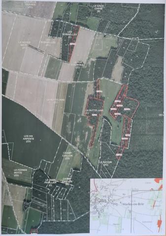 Achat - Terrain de loisirs, bois, étangs Marles-en-Brie 77610 380096 m 2