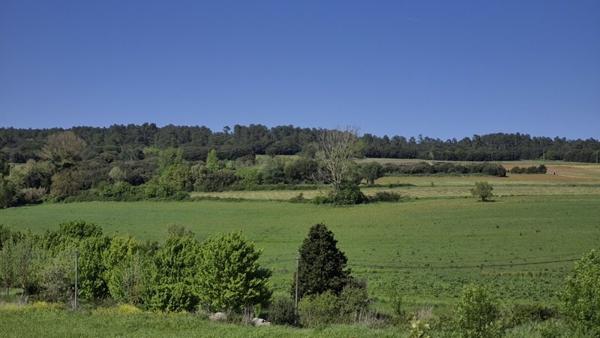 Terrain à vendre |  Bram |  448 m²