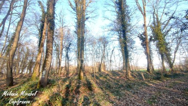 Terrain non constructible à vendre de 3 640,00 m² SYLVAINS LES MOULINS (27)