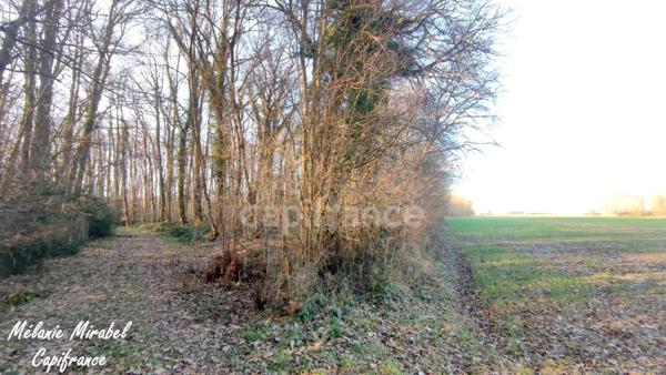 Terrain non constructible à vendre de 3 640,00 m² SYLVAINS LES MOULINS (27)