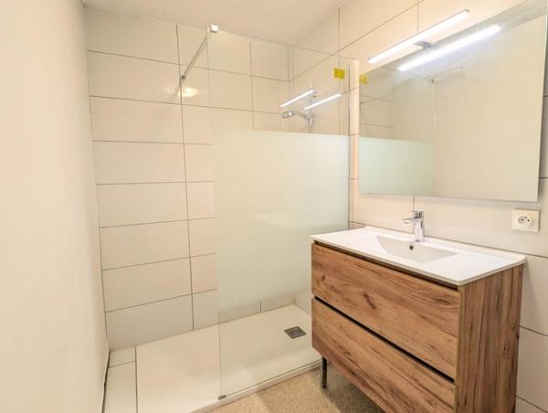 Vente / Immeuble à Chazelles-sur-Lyon (42140)