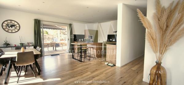 MANSLE - PAVILLON SUR SOUS-SOL 115 M² AVEC PISCINE, TERRASSE, GARAGE ET TERRAIN CLOS DE 1 004 m²