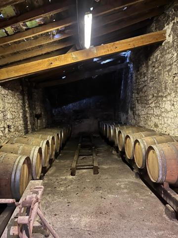 Domaine viticole