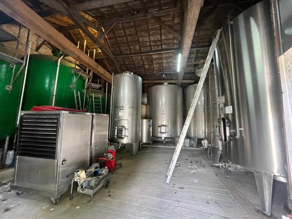 Domaine viticole
