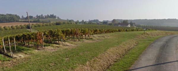 Domaine viticole