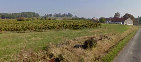 Domaine viticole