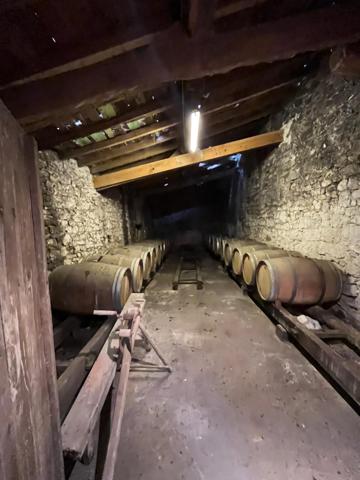 Domaine viticole