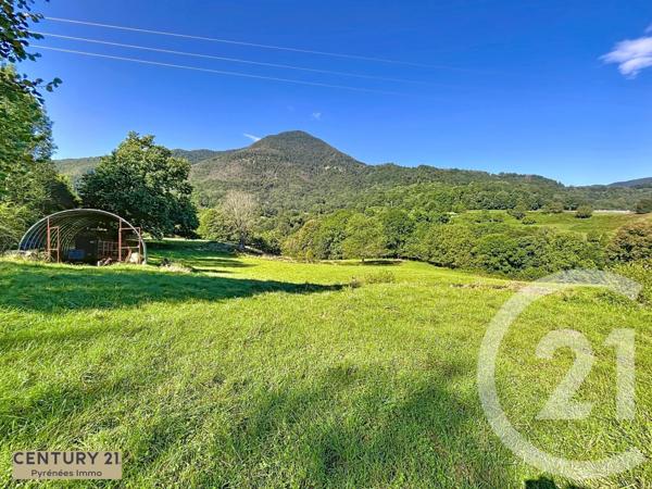 Maison à vendre  1 pièce - 40 m2 ESBAREICH - 65