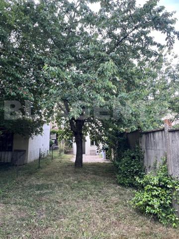 maison de ville en parfait état