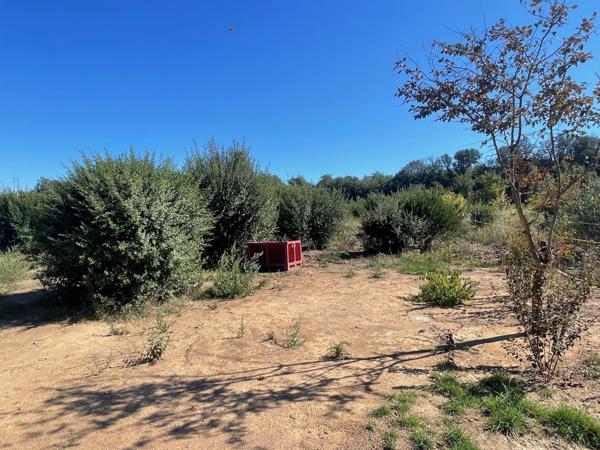 Terrain agricole 10 640 m2 à 5 min de Thuir