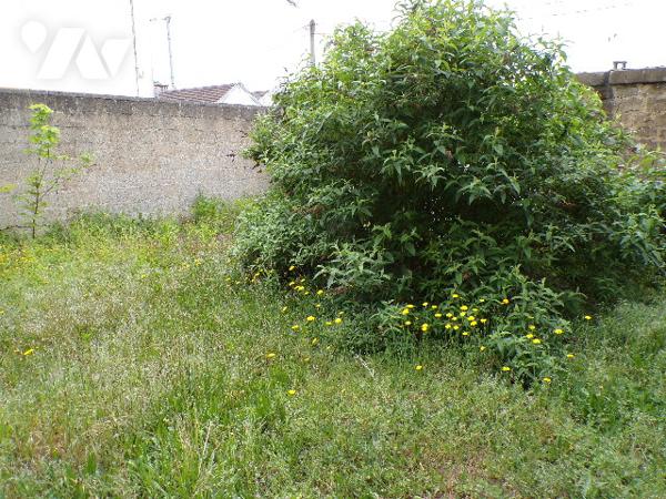 Immeuble de rapport à usage mixte