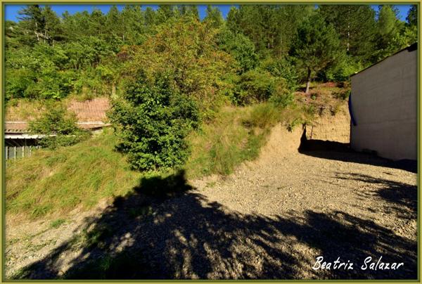 Tout près du centre ville terrain de 3494m2 constitué par trois parcelles dont une pouvant être bâtie de 386m2
