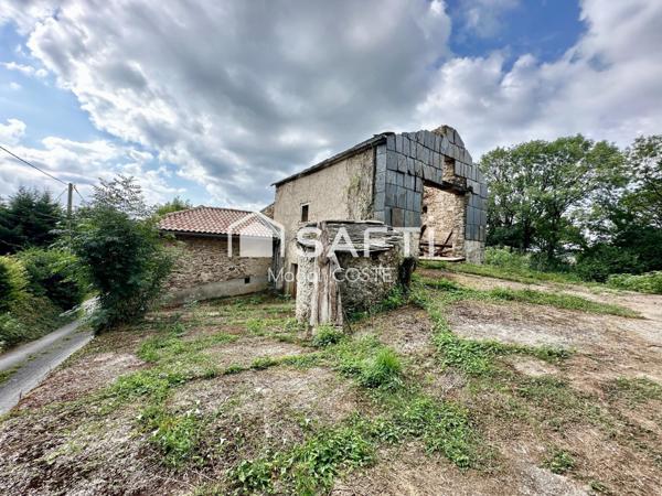 Maison de caractère avec dépendances et jardin