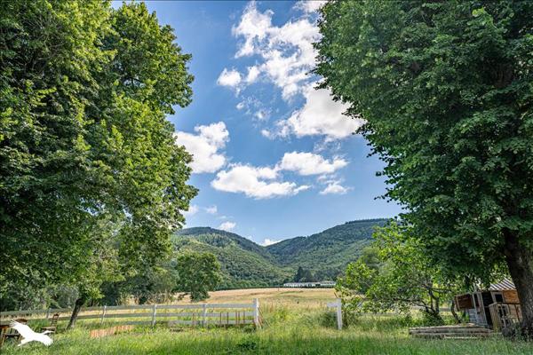Maison à vendre |  Aiguefonde |  11 pièces | 253 m²