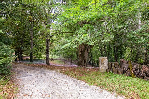 Ensemble immobilier de caractère et son parc paysagé avec piscine