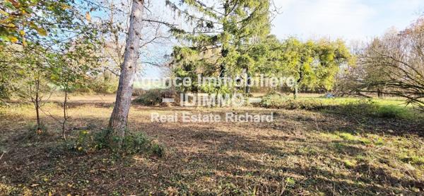 Propriété d’exception refaite à neuf en 2023 A VENDRE La Selle-sur-le-Bied (45210)