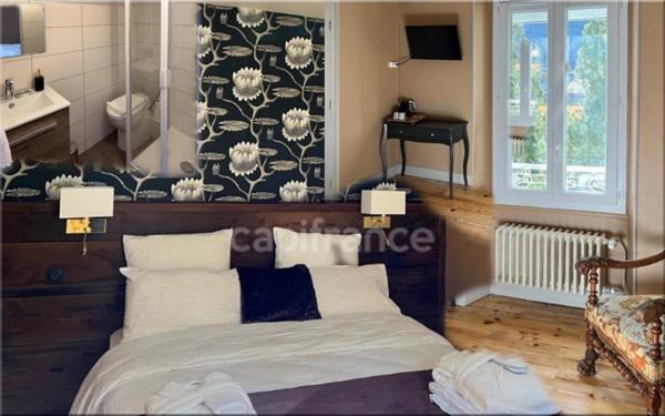 Dpt Savoie (73), à vendre SAINT MICHEL DE MAURIENNE, demeure bourgeoise, chambres d'hôtes, parc