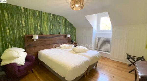 Dpt Savoie (73), à vendre SAINT MICHEL DE MAURIENNE, demeure bourgeoise, chambres d'hôtes, parc