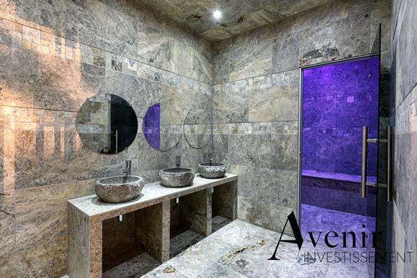 DÉCINES-CHARPIEU - VILLA CONTEMPORAINE - 322 m2 -5 CHAMBRES - PISCINE Decines charpieu DÉCINES-CHARPIEU - VILLA CONTEMPORAINE - 322 m2 -5 CHAMBRES - PISCINE Decines charpieu