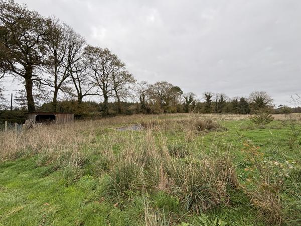 Pluvigner (56330) Belle longère en pierre de 147 m² habitable sur grand terrain au calme de la campagne