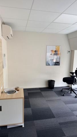 LOCAL COMMERCIAL 255 M²