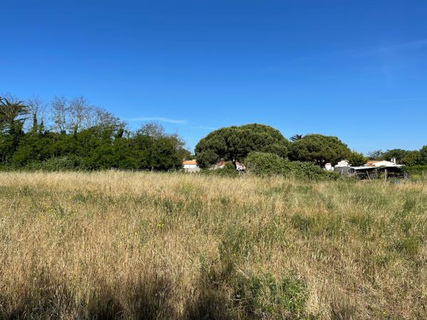Terrain à bâtir Saint Pierre d Oleron de 908 m²