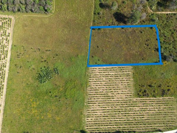 Vente / Terrain agricole