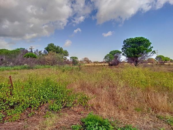Vente / Terrain agricole
