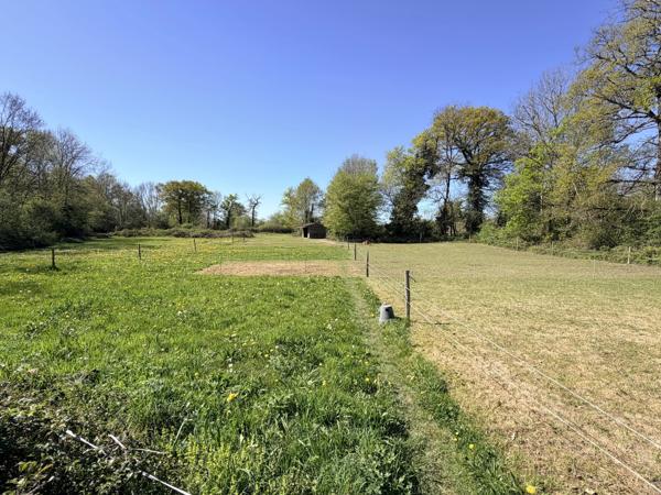 Maison de campagne avec maison d'amis attenante, terrain et enclos