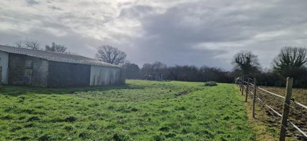 maison avec terrains divisibles