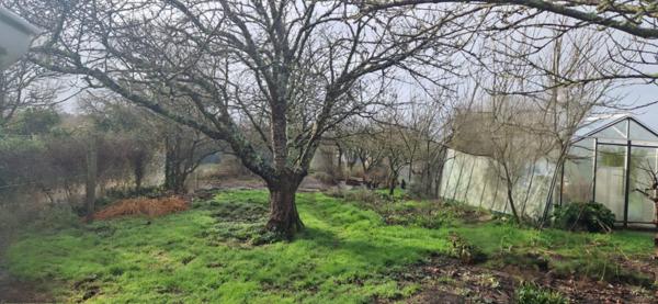 maison avec terrains divisibles