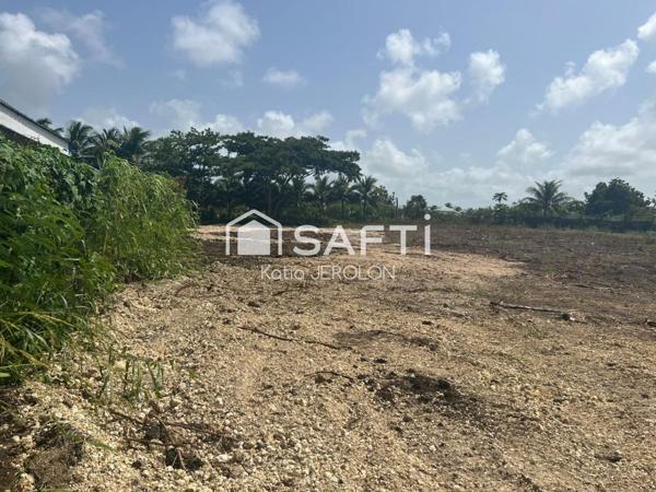 Le Moule - Terrain à bâtir