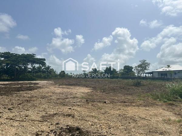 Le Moule - Terrain à bâtir