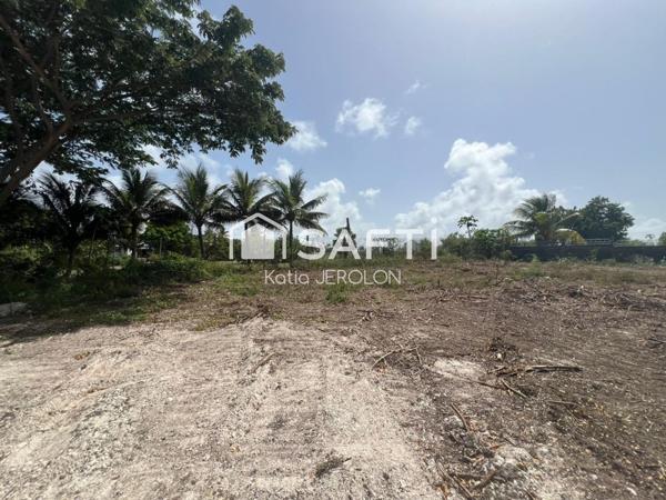 Le Moule - Terrain à bâtir