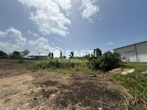 Le Moule - Terrain à bâtir