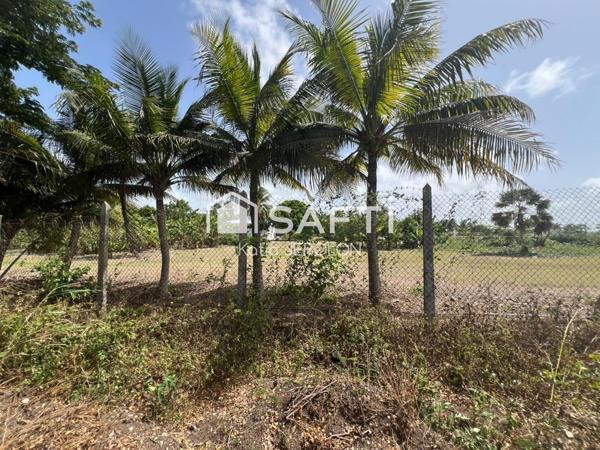 Le Moule - Terrain à bâtir