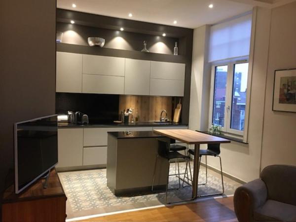 A LOUER : T2 à LILLE • Boulevard Bigo-Danel • 1 200 € CC • Réf. 1528-31