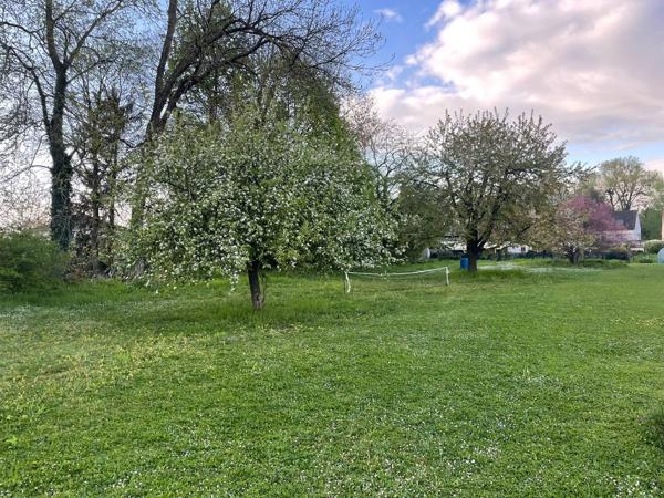 A VENDRE TERRAIN CONSTRUCTIBLE - 10 KM DE REIMS SECTEUR ISLES SUR SUIPPE