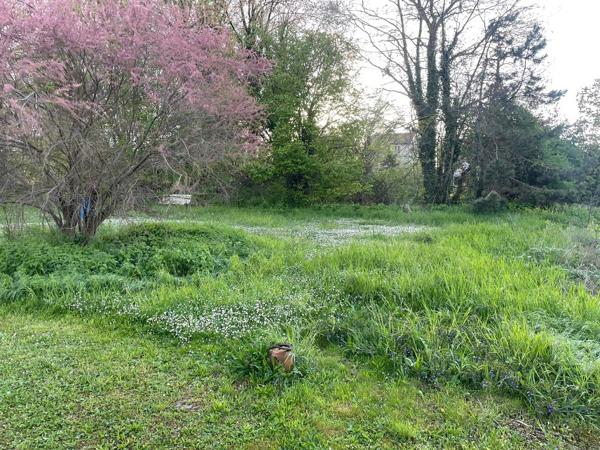 A VENDRE TERRAIN CONSTRUCTIBLE - 10 KM DE REIMS SECTEUR ISLES SUR SUIPPE