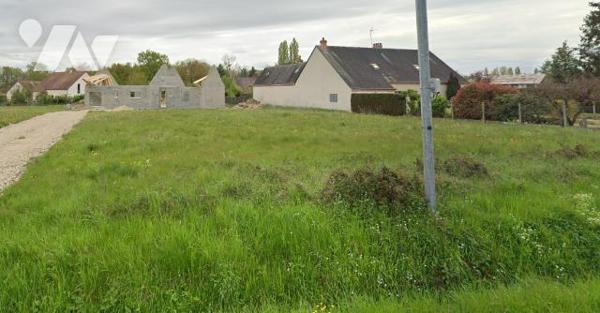 Terrain à bâtir non viabilisé situé à VITRY AUX LOGES, route de l'Etang de la Vallée