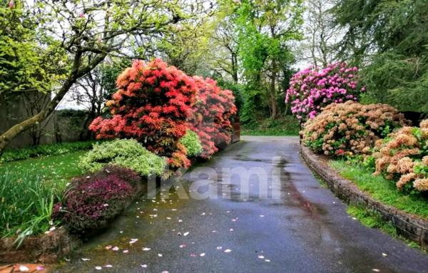 Belle Néo-Bretonne 128 m2, Hangar et Dépendances, Terrain 9718 m2