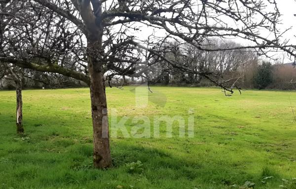 Belle Néo-Bretonne 128 m2, Hangar et Dépendances, Terrain 9718 m2