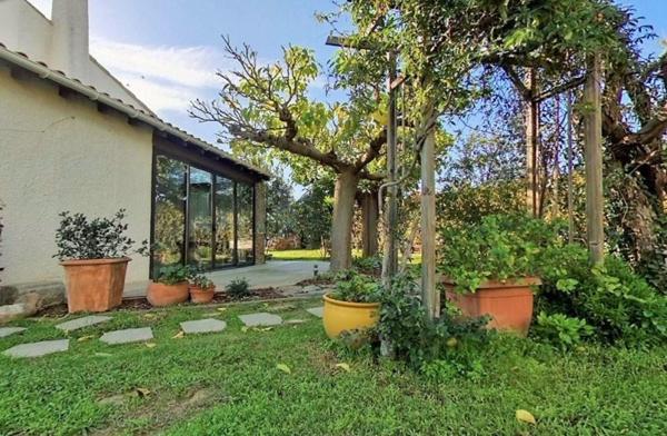 Vente / Maison et grand terrain