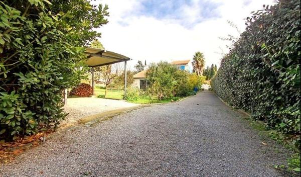 Vente / Maison et grand terrain