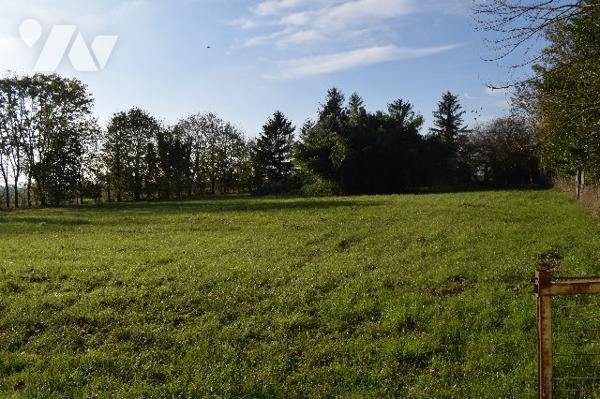 MAISON MODERNE SITUEE A VILLEFAGNAN 1hectare de terrain 220m2