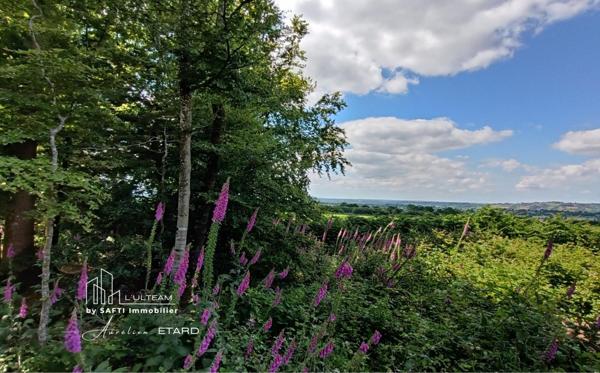 Terrain de loisir arboré sans vis à vis avec une vue campagne