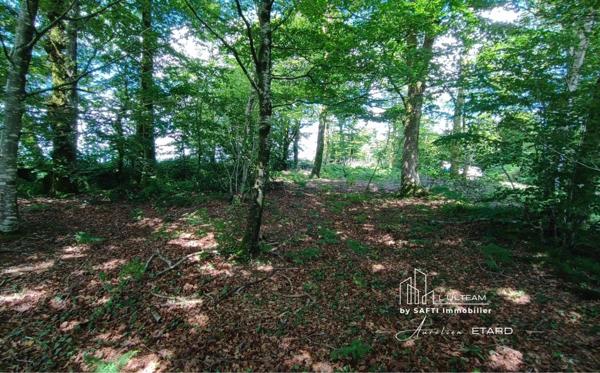 Terrain de loisir arboré sans vis à vis avec une vue campagne